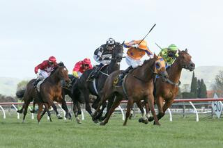 Gingernuts claims third Group 1 win in the $200,000 Windsor Park Plate. Photo Credit - Trish Dunell